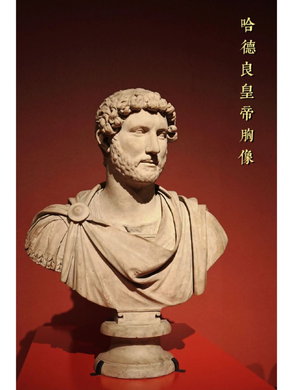 罗马博物馆举办特展，展示数百年前珍贵文物，引发热议