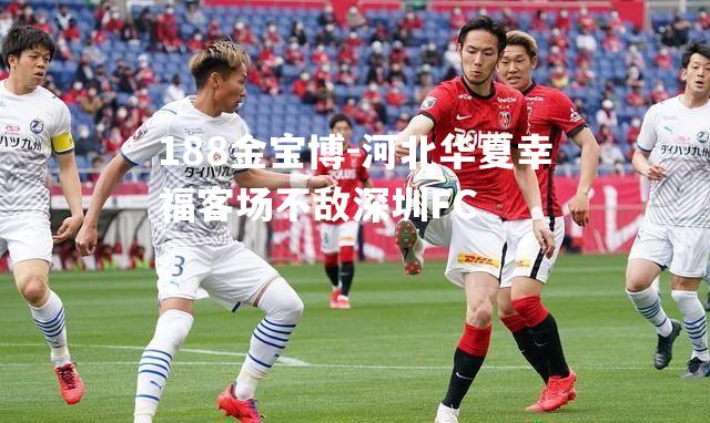 河北华夏幸福客场不敌深圳FC